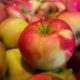 Four steps to a healthier, longer life